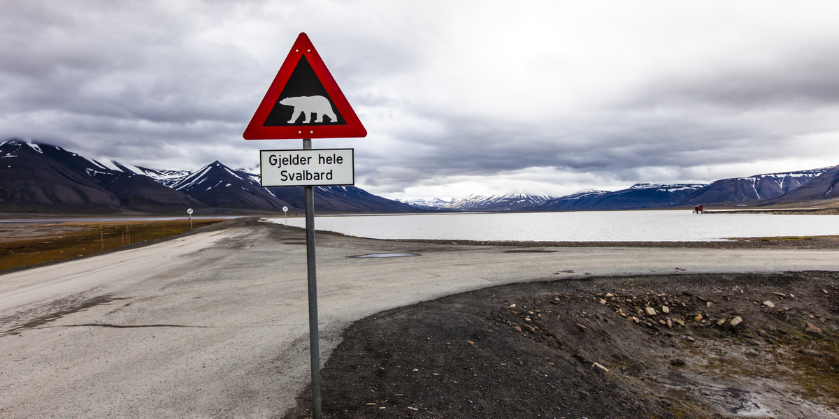 Landskap fra Svalbard med veiskilt som varsler om fare for isbjørn..