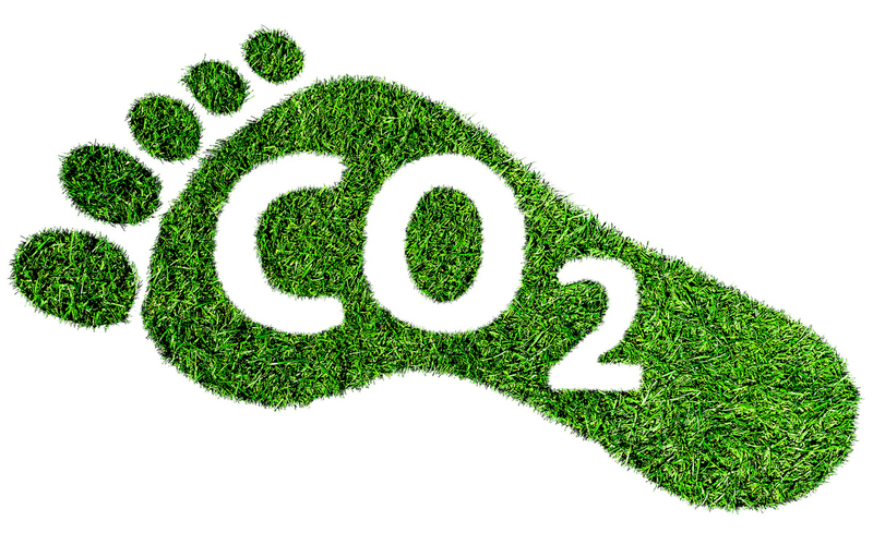 Et fotavtfykk av grønt gress hvor det er skrevet CO2 (Illustrasjon).